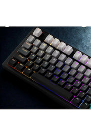Gradient Mekanik Klavye OEM Profil RGB Tuş Takımı PBT - Siyah ürün görseli 2
