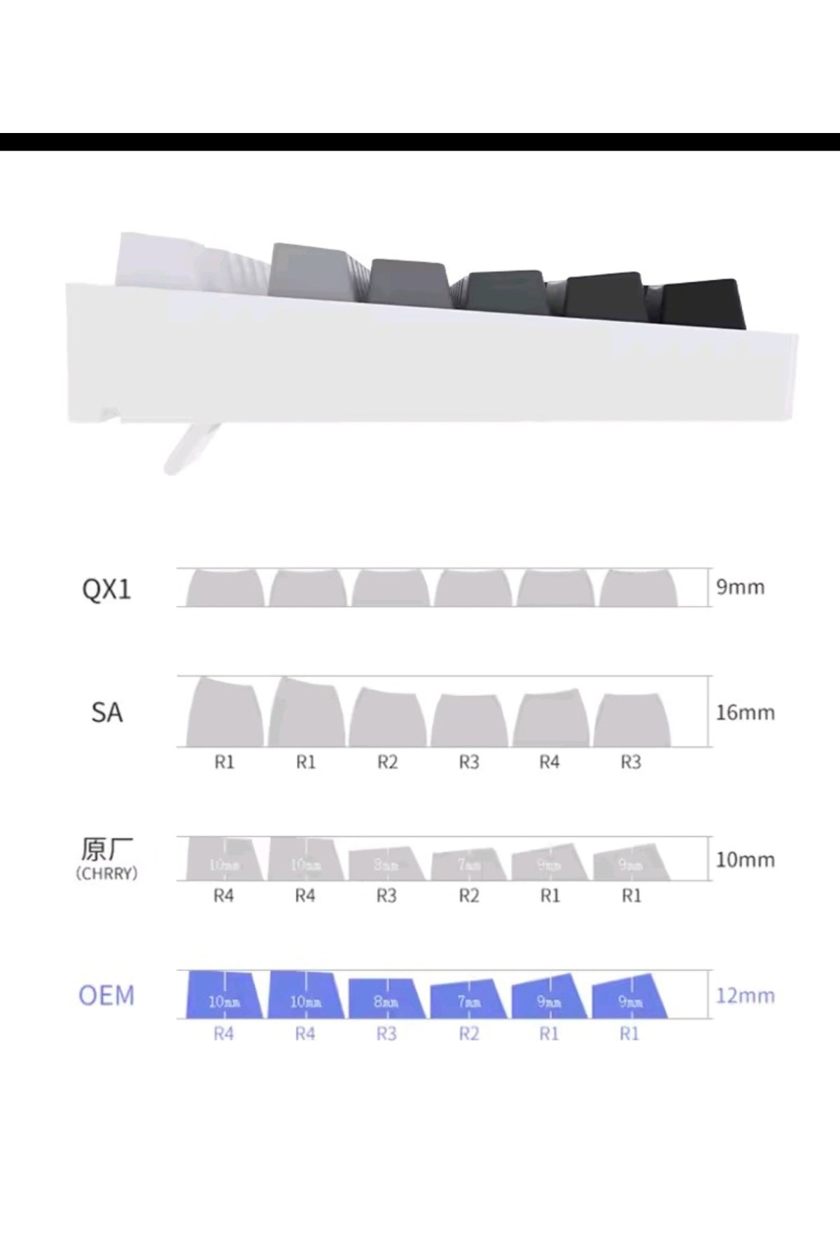 Gradient Mekanik Klavye OEM Profil RGB Tuş Takımı PBT - Mavi ürün görseli 4